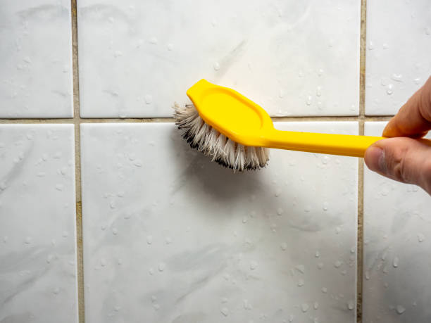 Best Post-Remediation Services in Wales, WI